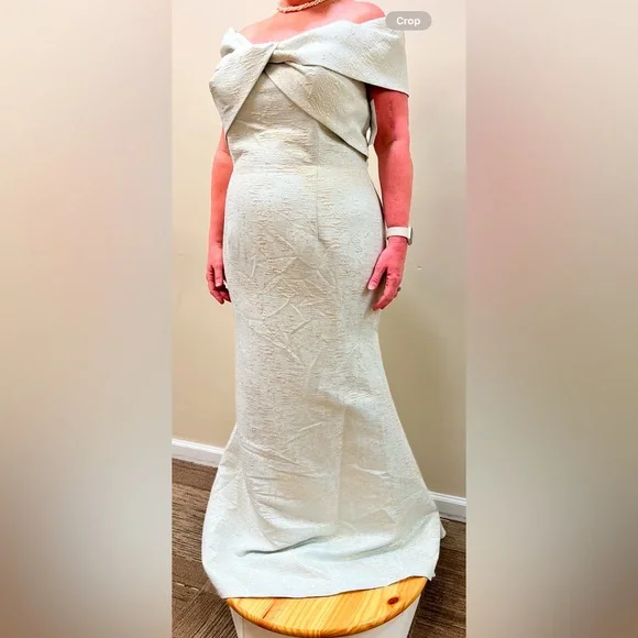 ALYCE PARIS 27613 in Silverlake/Gold Size 18 UNALTERED! NWT - Picture 2 of 13